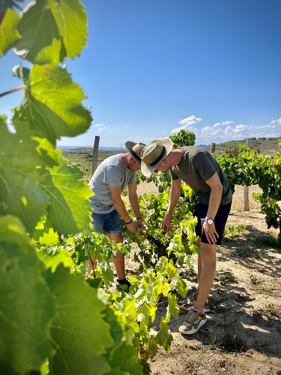 La Rioja: ontdek de verborgen schatten in Spanje